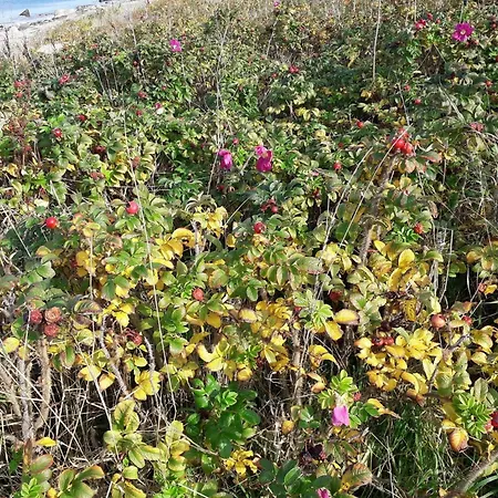 8 Person In Asnaes-by Traum Asnæs