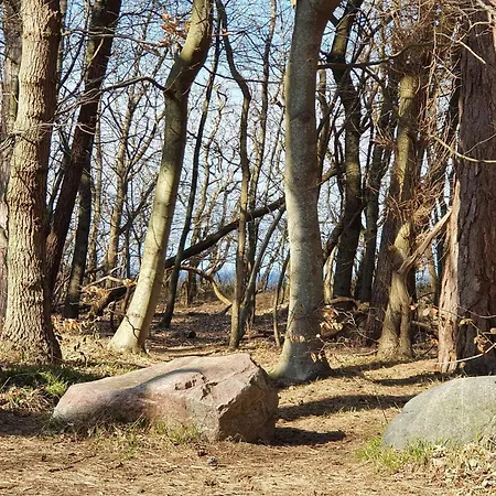 8 Person In Asnaes-by Traum Asnæs