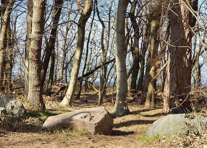 8 Person In Asnaes-by Traum Asnæs